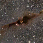 LDN43 - THE COSMIC BAT