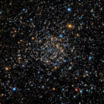 Caroline's Rose Cluster