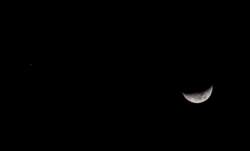 EF300mm f/4L USM   Canon 5D Mark III   2024-02